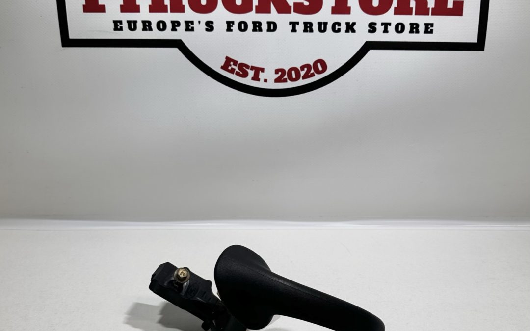 Ford Expedition 1997/2002 R.L. Door Handle